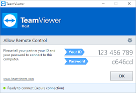 teamviewer 9 full version key